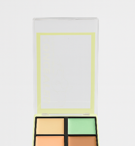 Romantic Bright Blush &amp; Concealer Combo Palette